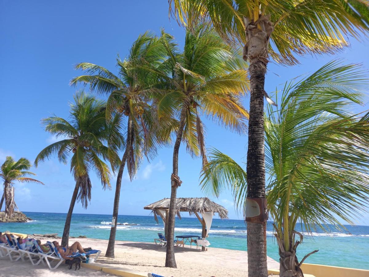 サン・フランソワ Tropical Cocooningアパートホテル エクステリア 写真