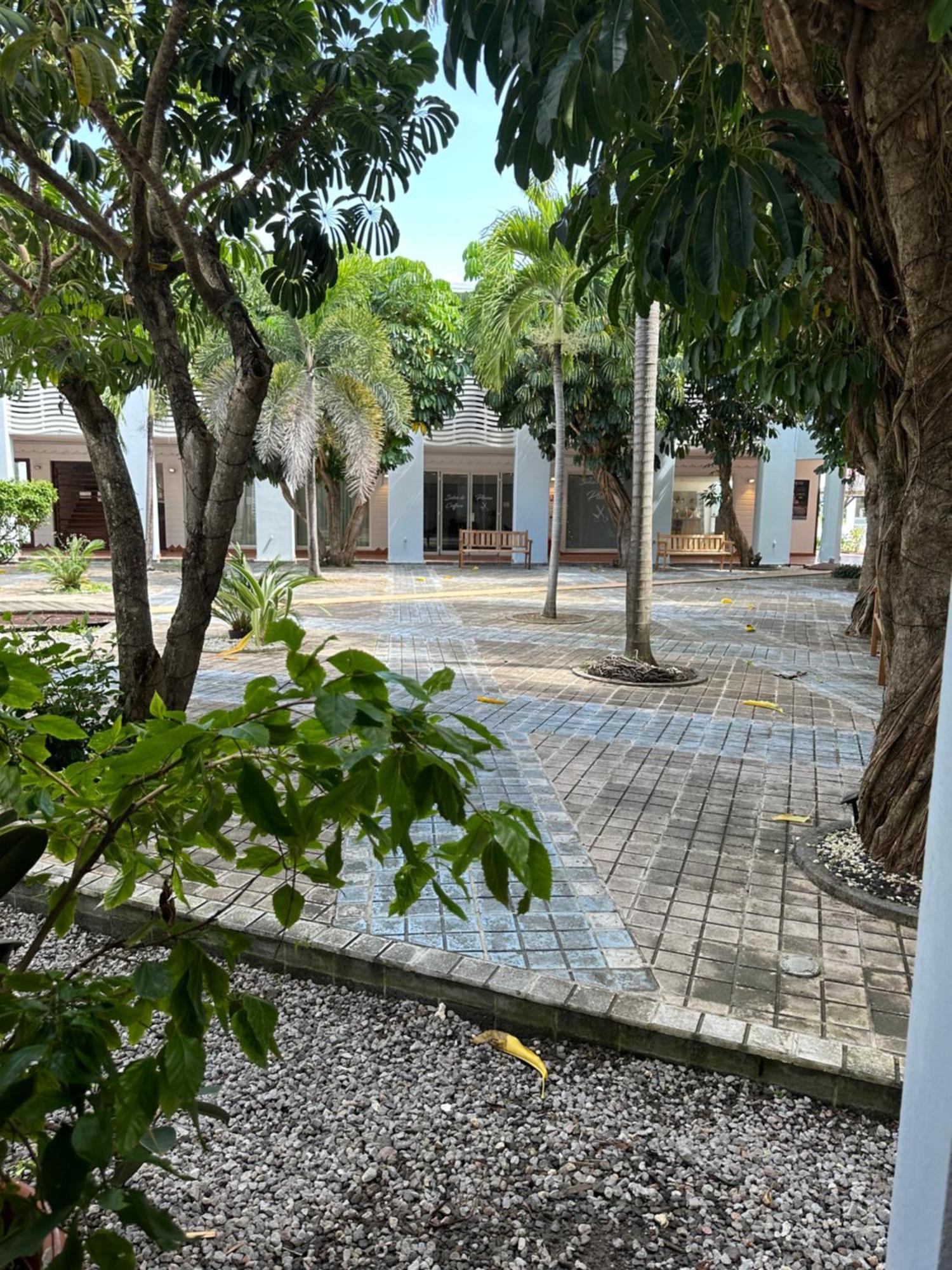 サン・フランソワ Tropical Cocooningアパートホテル エクステリア 写真